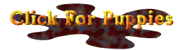 Click For Puppies